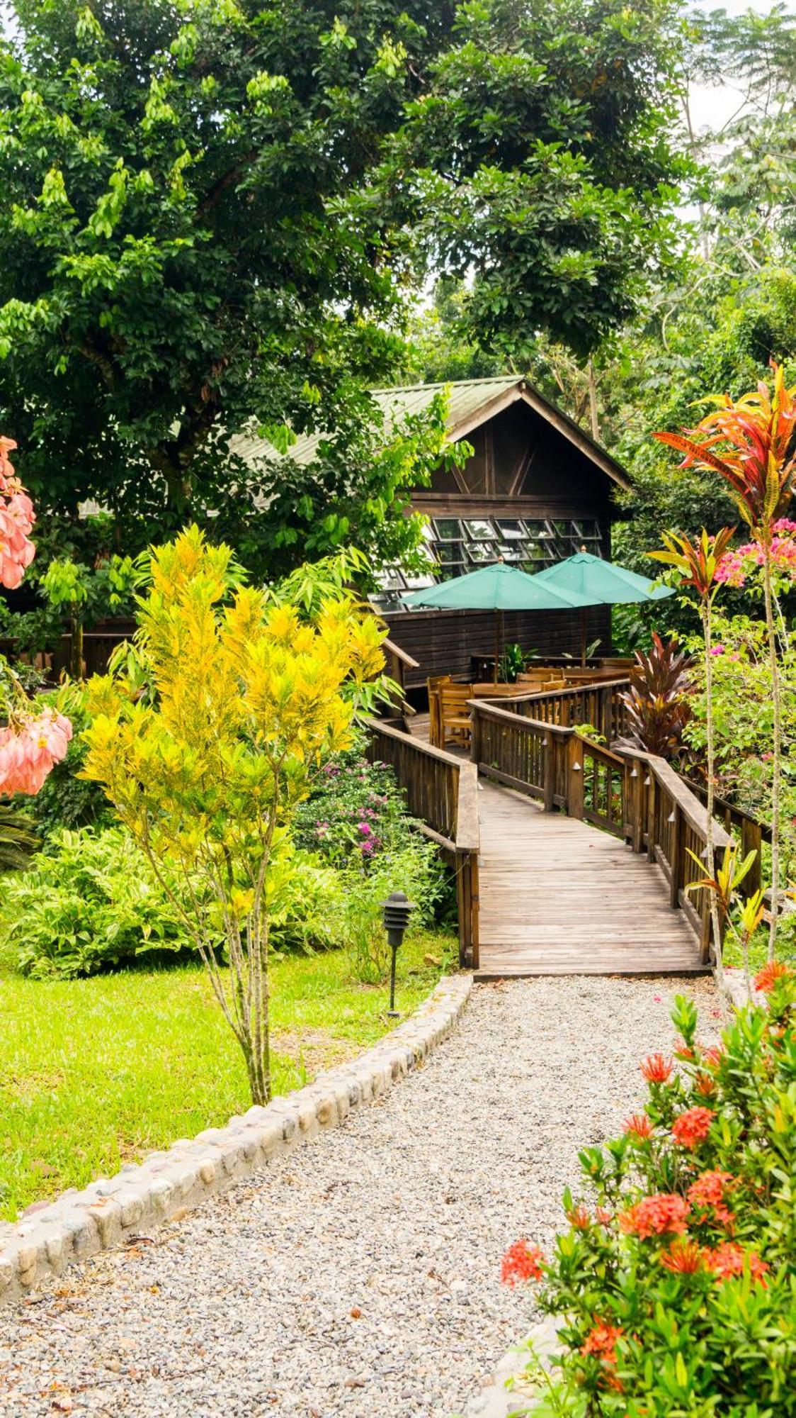 The Lodge & Spa At Pico Bonito El Pino Kültér fotó