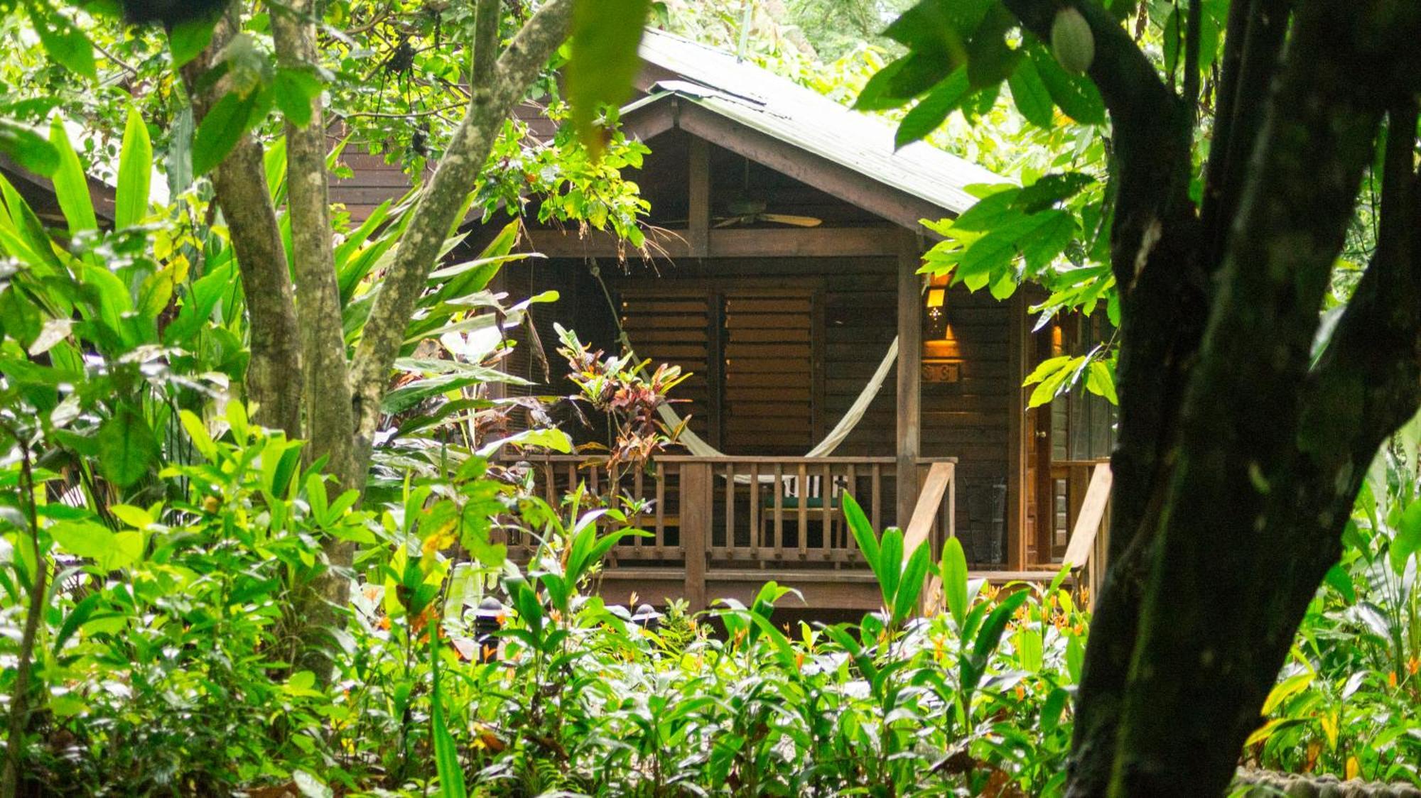 The Lodge & Spa At Pico Bonito El Pino Kültér fotó