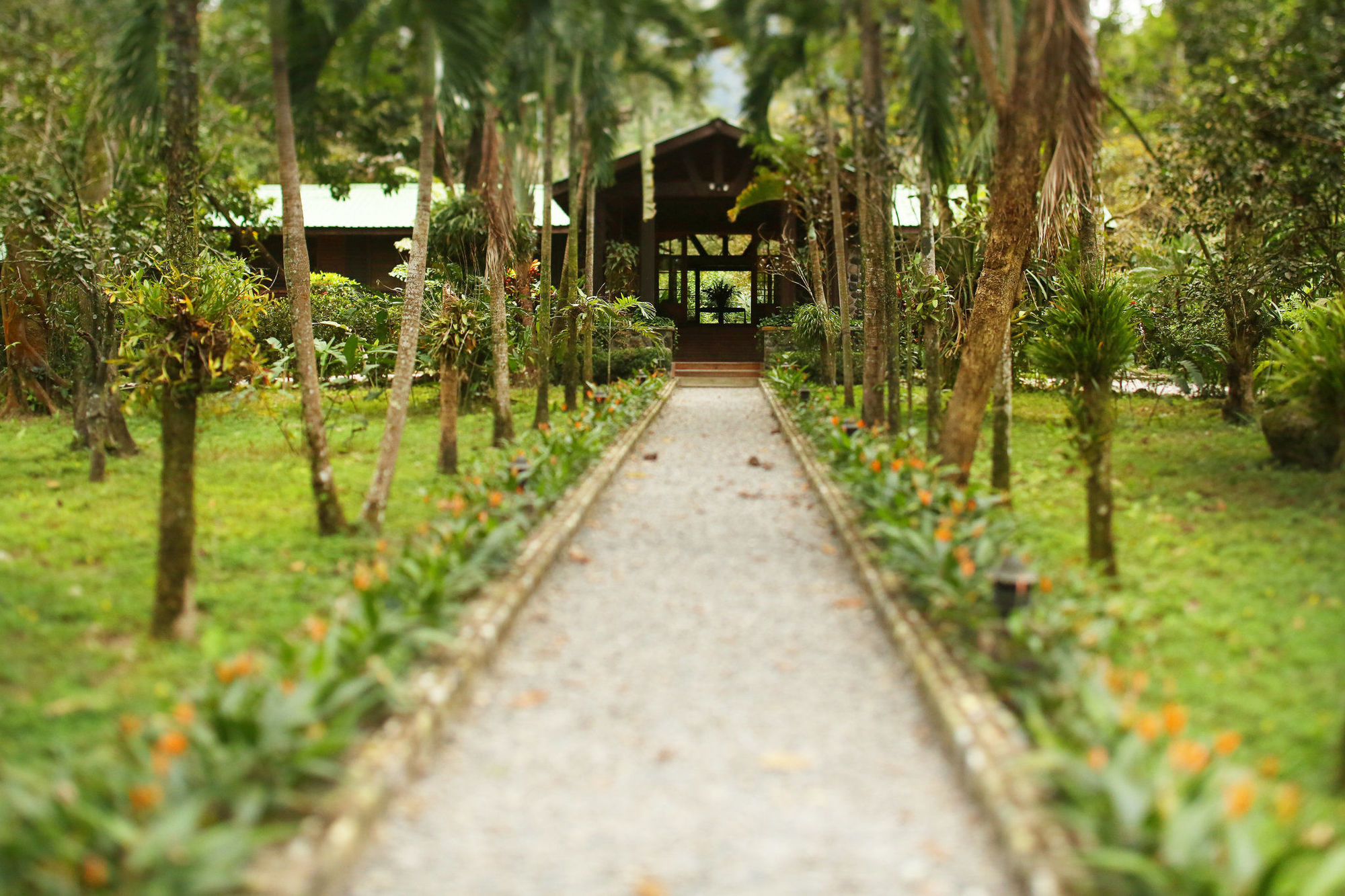 The Lodge & Spa At Pico Bonito El Pino Kültér fotó