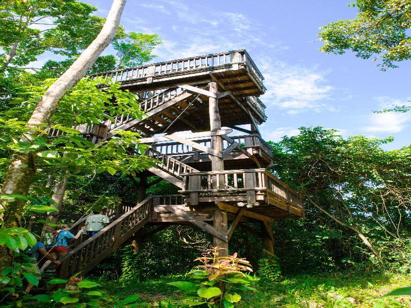 The Lodge & Spa At Pico Bonito El Pino Kültér fotó